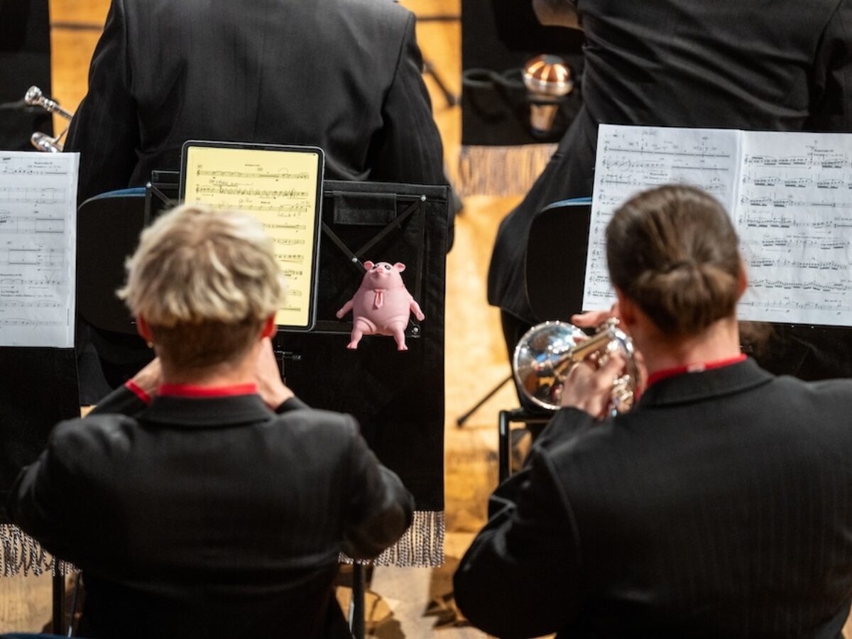 SBBW CSBB 360 DSM Excellence1 156